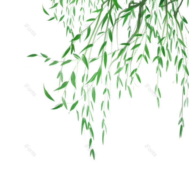叶子图片,装饰元素,素材PNG,绿叶免抠素材